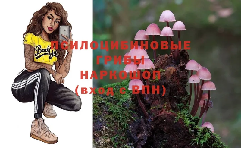 Псилоцибиновые грибы Magic Shrooms  закладка  Нарьян-Мар 